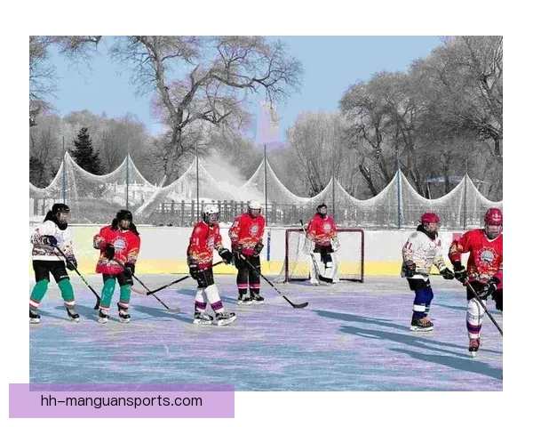 冰球比赛：燃情对决冰上激战