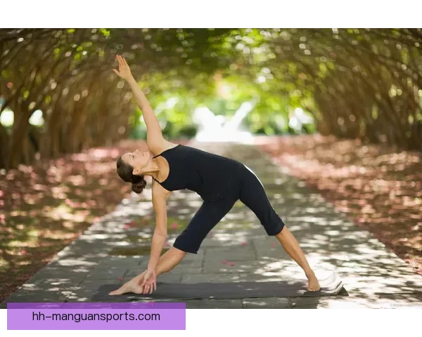 瑜伽数据分析：揭示练习对身心健康的影响