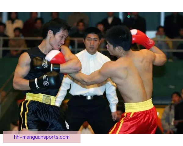 重量级拳王对决！搏击巅峰，激情碰撞！